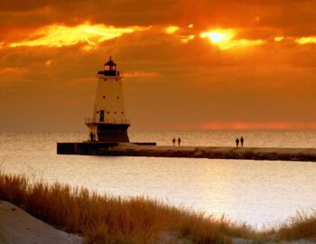 Volunteer Opportunities